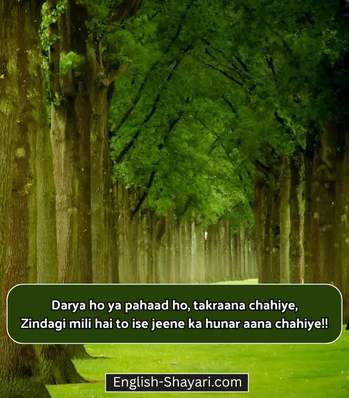 Best Life Shayari in English