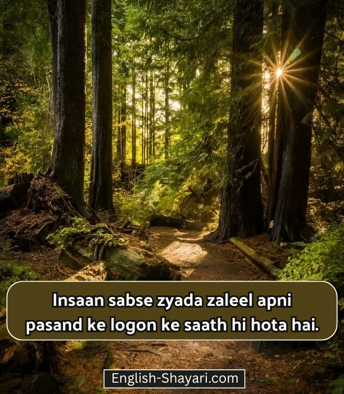 Best Life Shayari in English