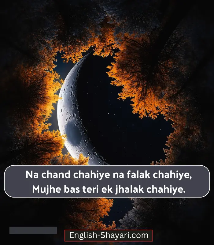 Best Moon Shayari in English