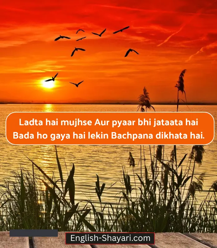 Bhai Ke Liye Shayari in English 2 Line