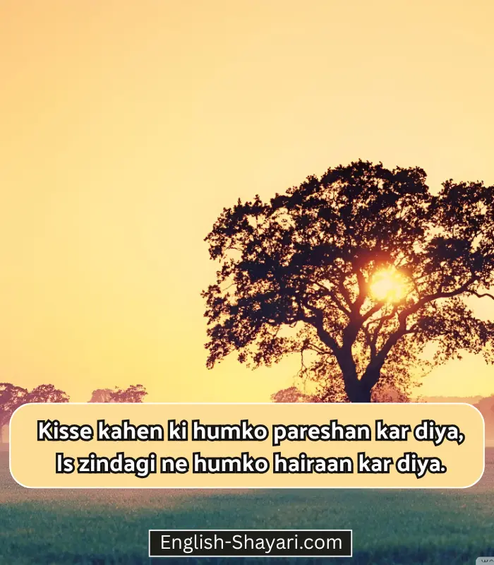 Life Shayari in English Hindi 2 Line
