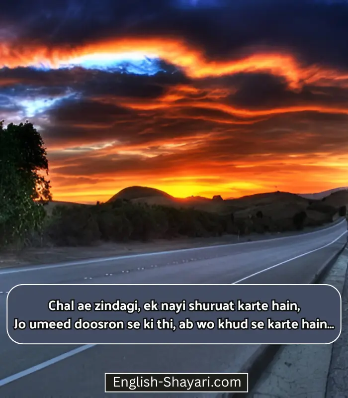 Life Shayari in English Hindi