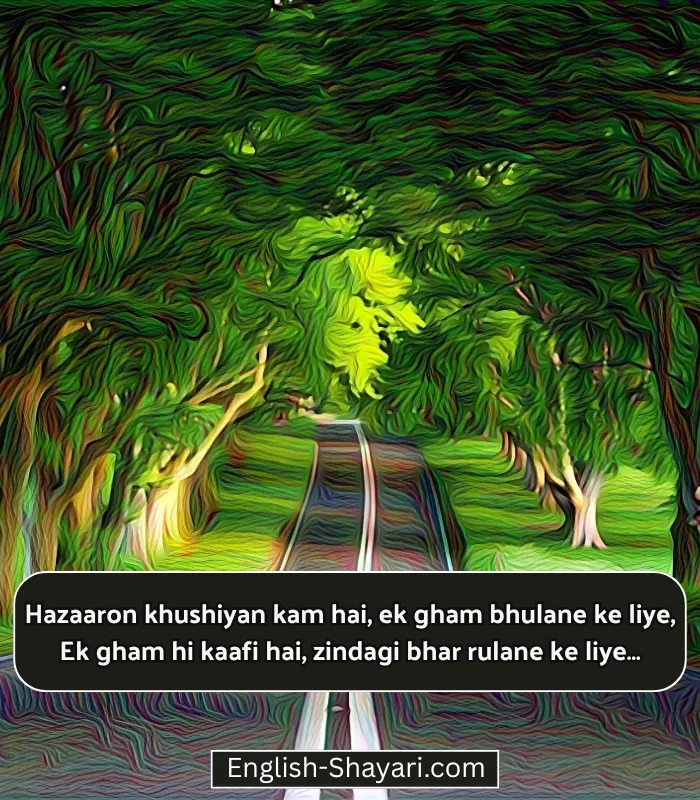 Life Shayari in English Hindi