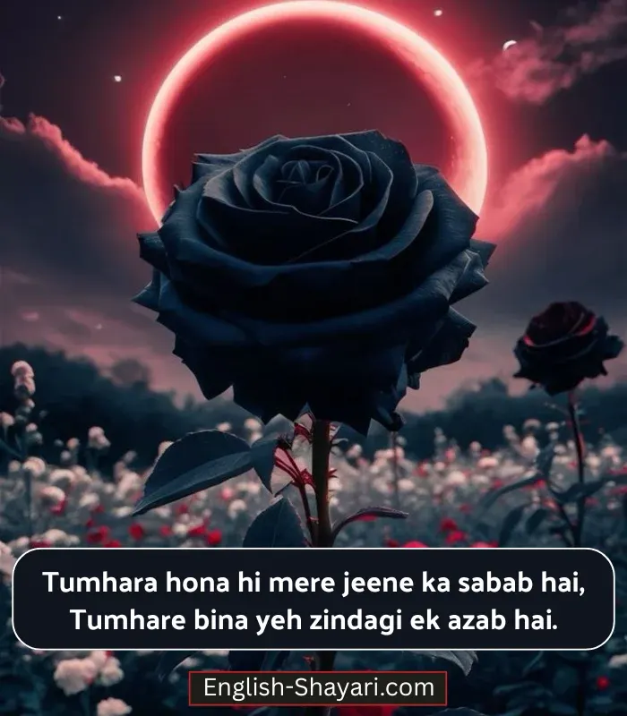 Love Heart Touching Shayari in English