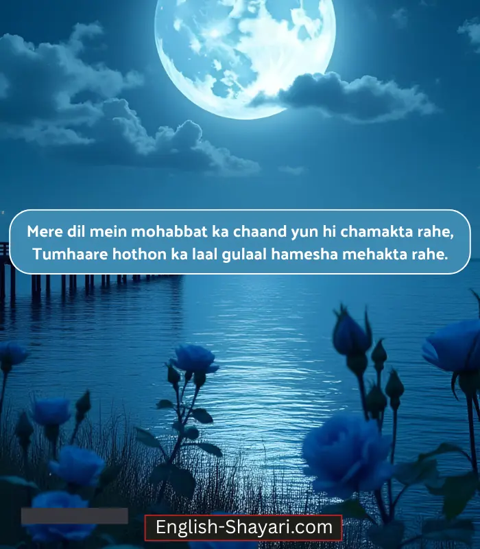 Moon Shayari in English