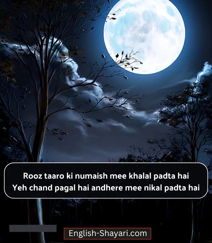 Moon Shayari in English