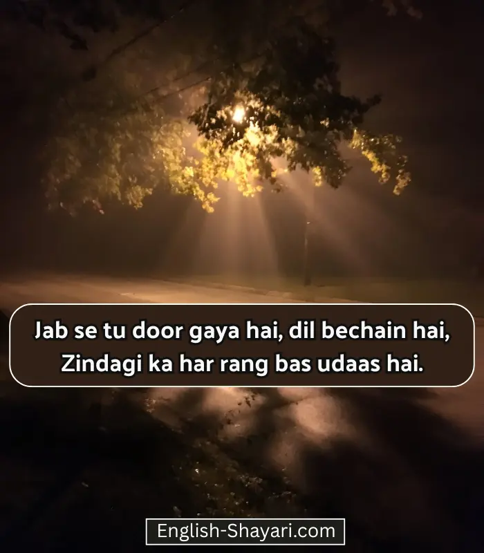 Sad Life Shayari in English Hindi