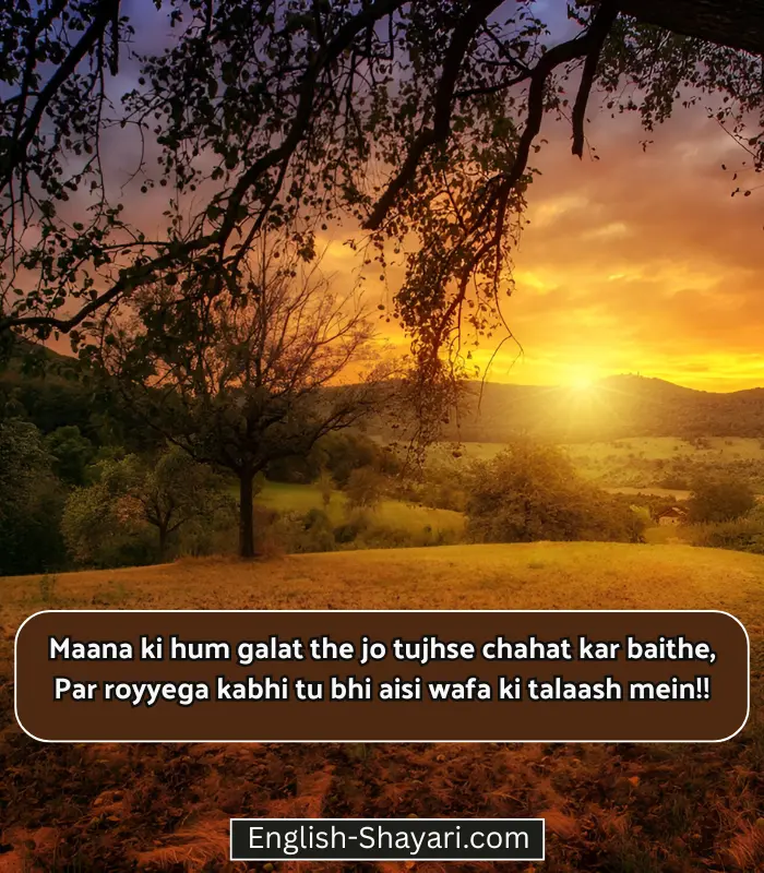 Sad Shayari in English