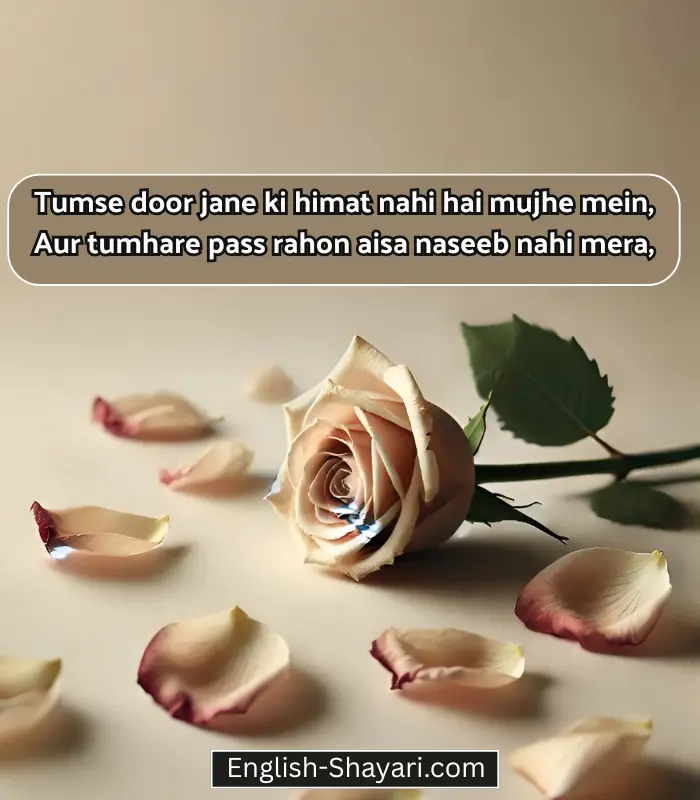 Sad Shayari in English Love