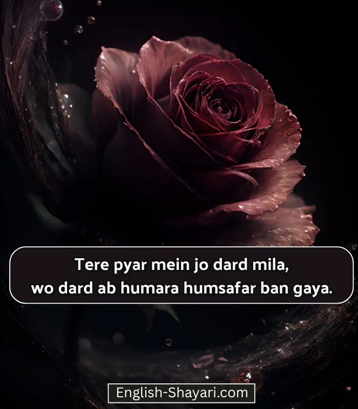 Sad Shayari in English Love