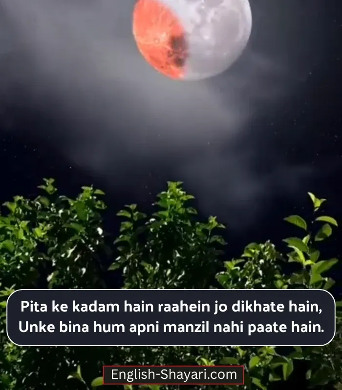 Father Mother Shayari in English