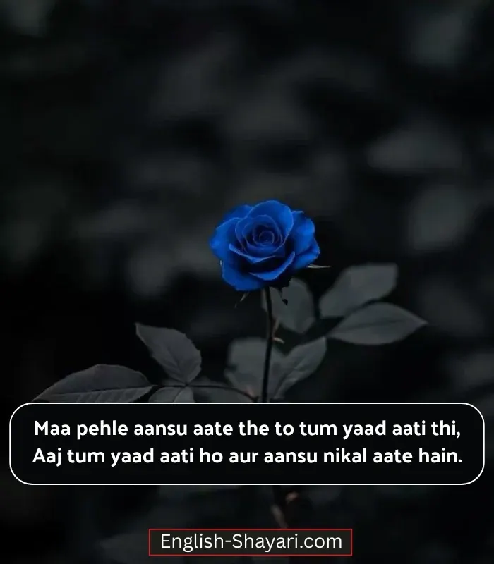 Heart Touching Mother Shayari in English