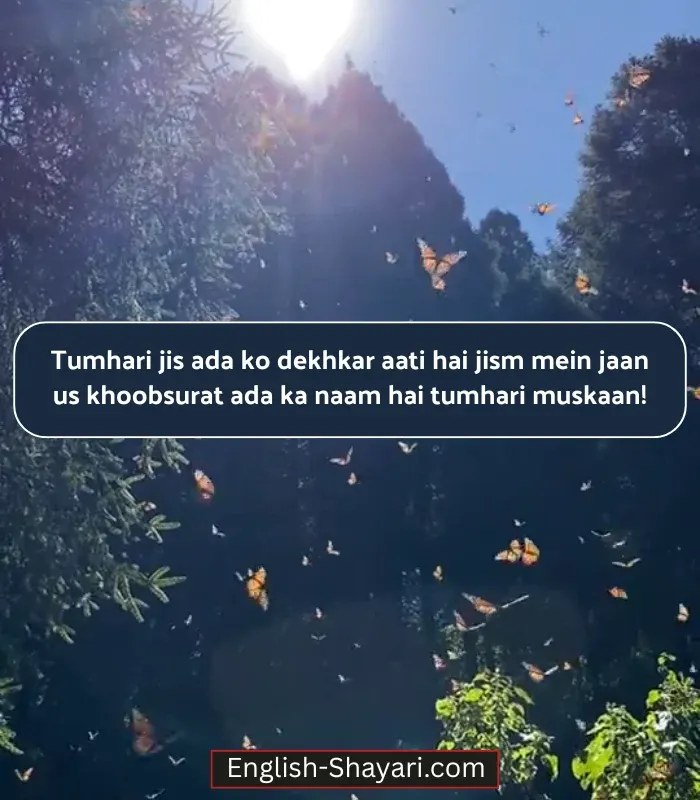Smile Shayari in English