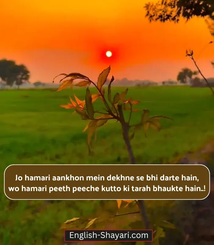 2 Line Shayari on Eyes in English for Boy