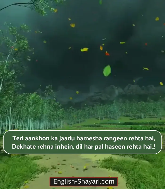 2 Line Shayari on Eyes in English in Hindi