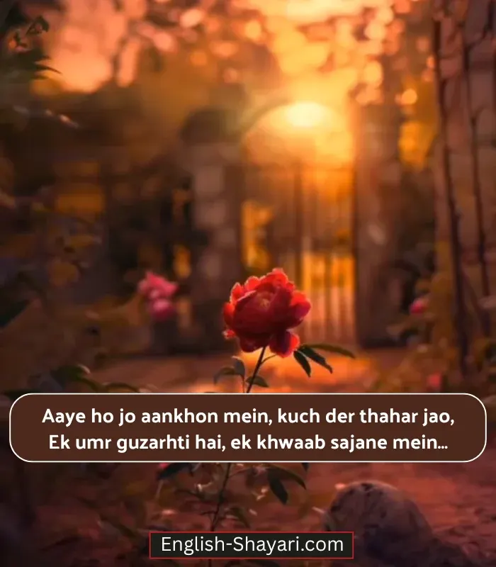 2 Line Shayari on Eyes in English Love