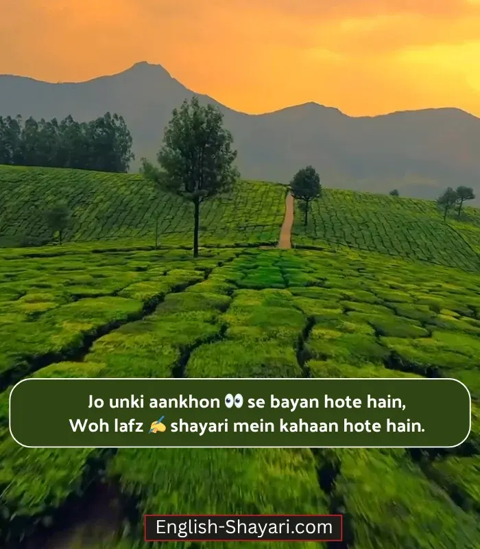 2-Line Shayari on Eyes in English with Emoji
