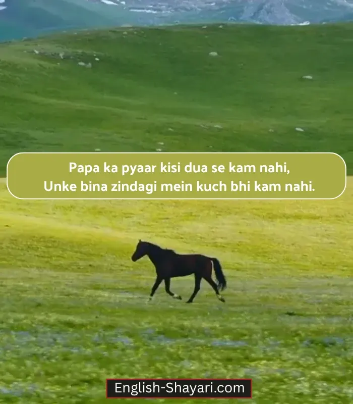 Daughter Papa Ke Liye Shayari in English