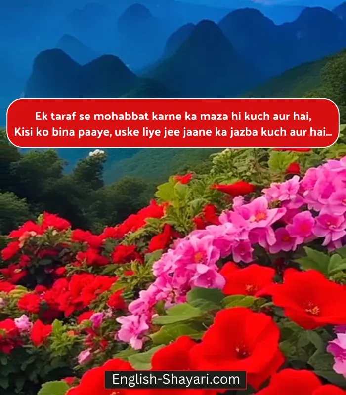 Instagram One Sided Love Shayari in English