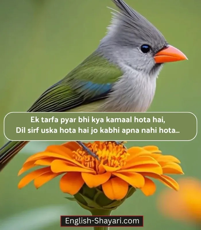One Sided Love Shayari in English for Girlfriend