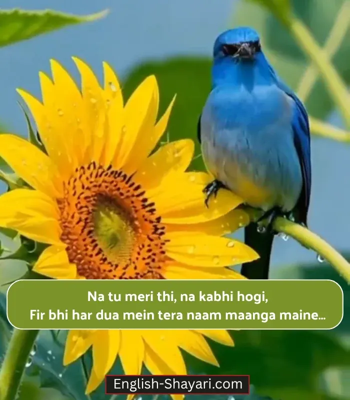 One Sided Love Shayari in English for Girlfriend