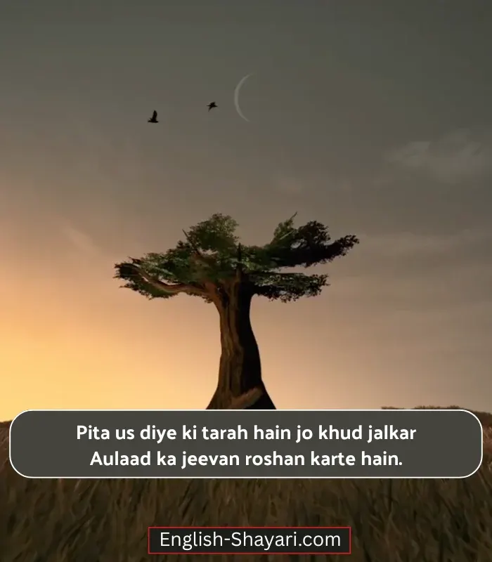 Papa Ke Liye Shayari in English