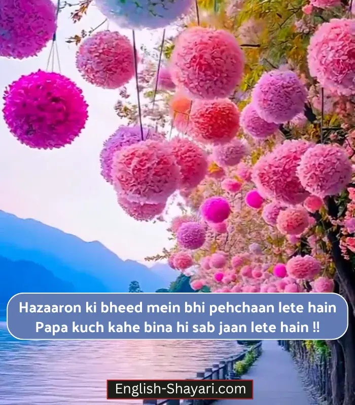 Papa Ke Liye Shayari in English in Hindi
