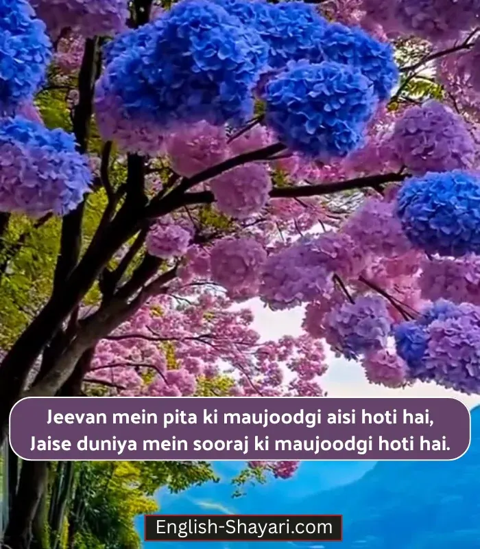 Papa Ke Liye Shayari in English in Hindi